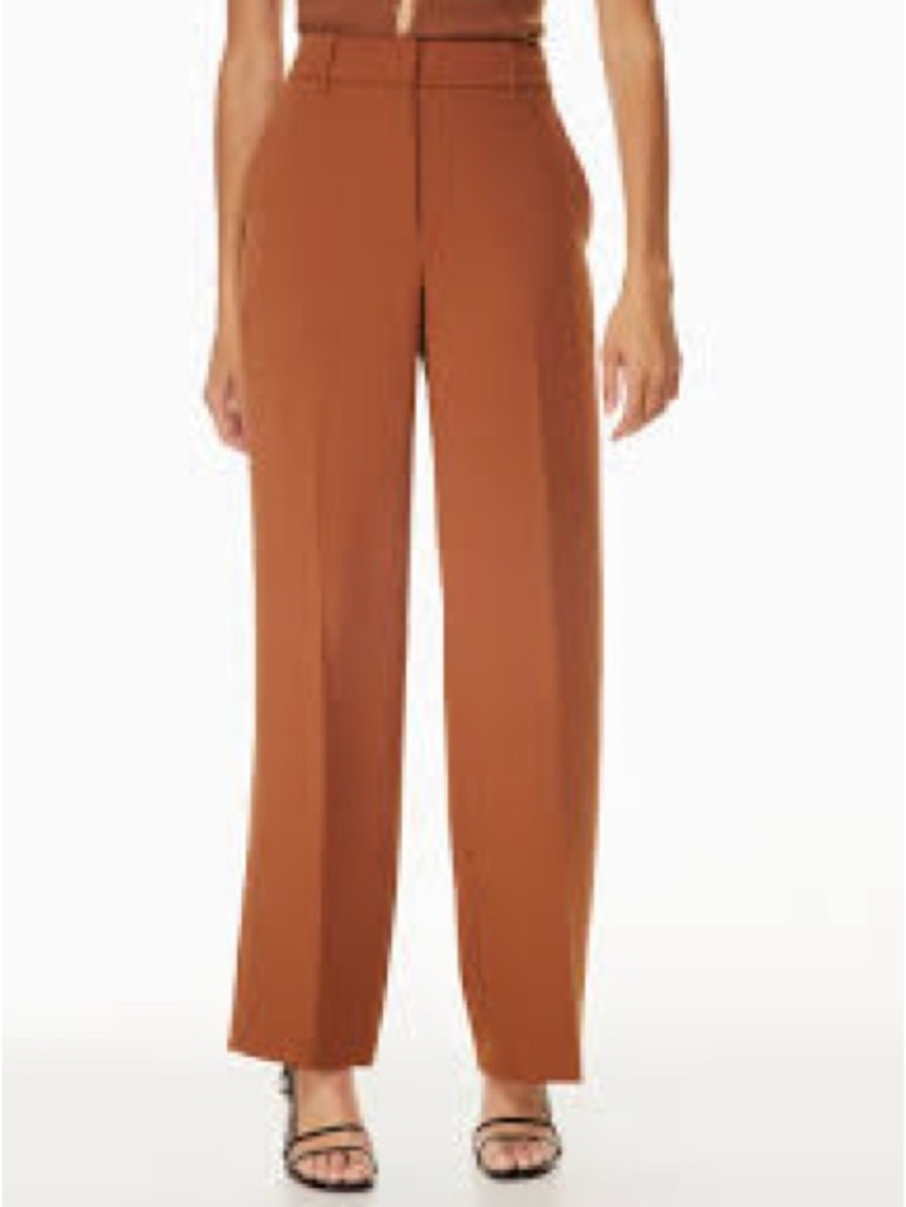 Wilfred Wide-Leg Trousers in Rust Brown 1118